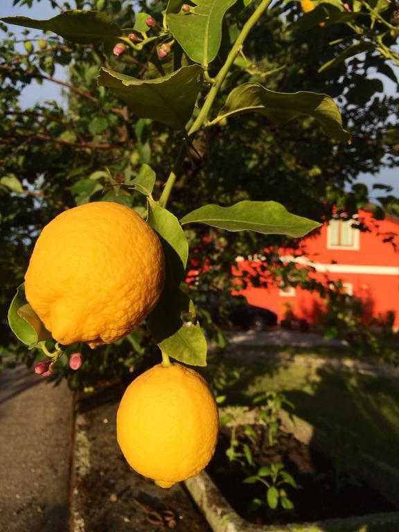 Agriturismo Ca' La Pergola Lugagnano Zewnętrze zdjęcie