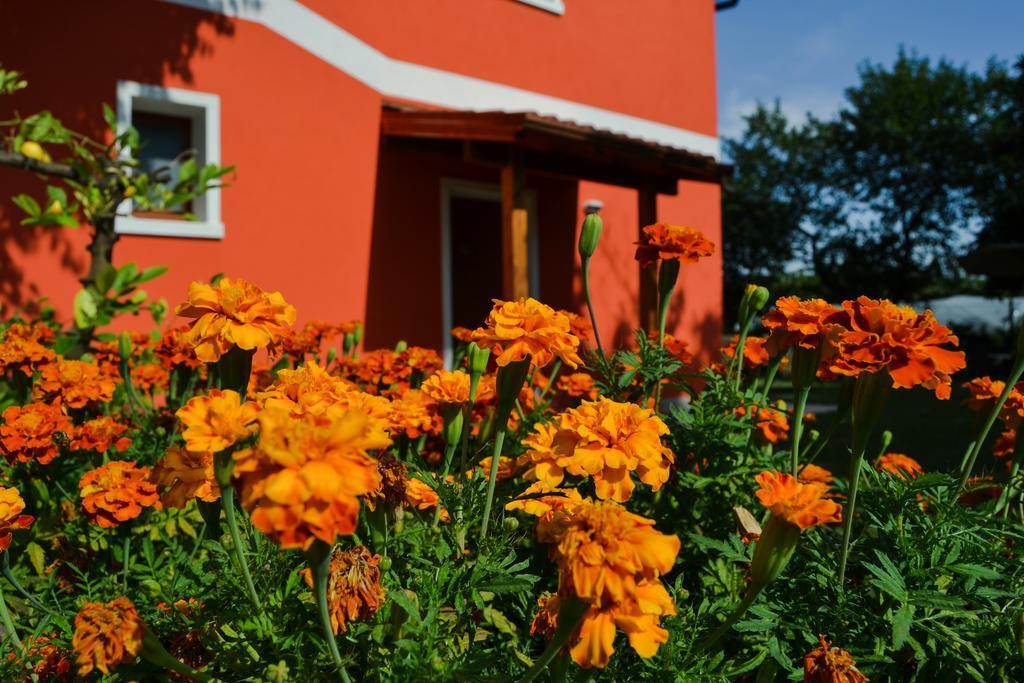 Agriturismo Ca' La Pergola Lugagnano Zewnętrze zdjęcie