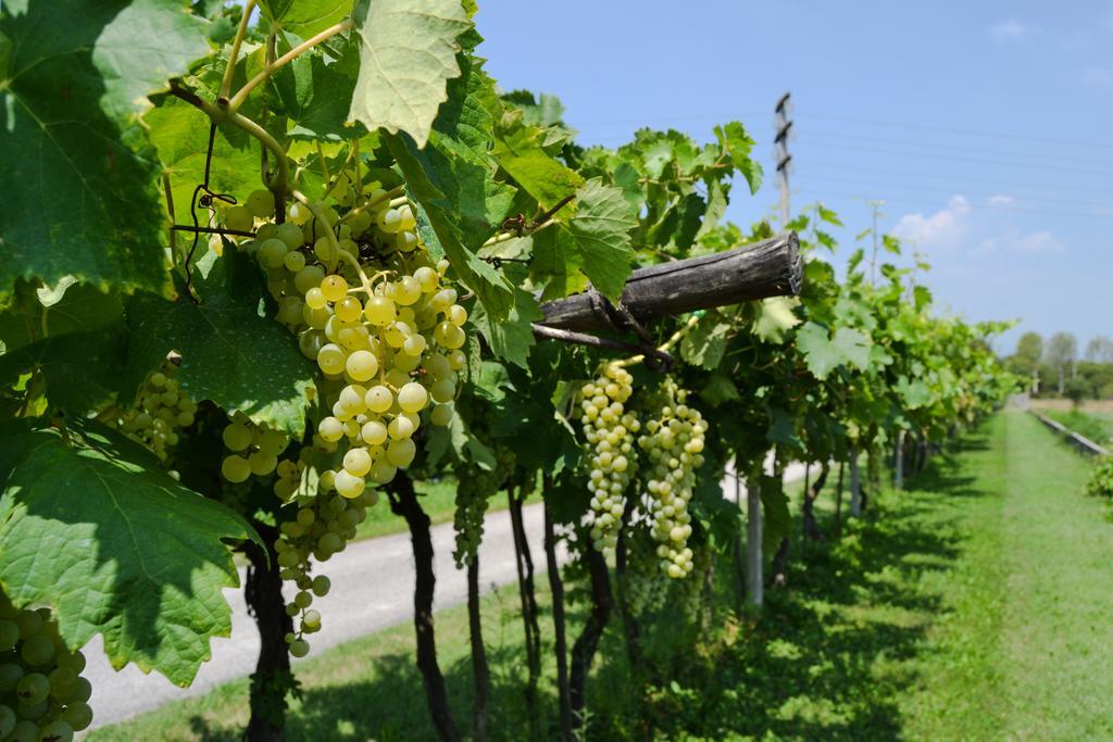 Agriturismo Ca' La Pergola Lugagnano Zewnętrze zdjęcie